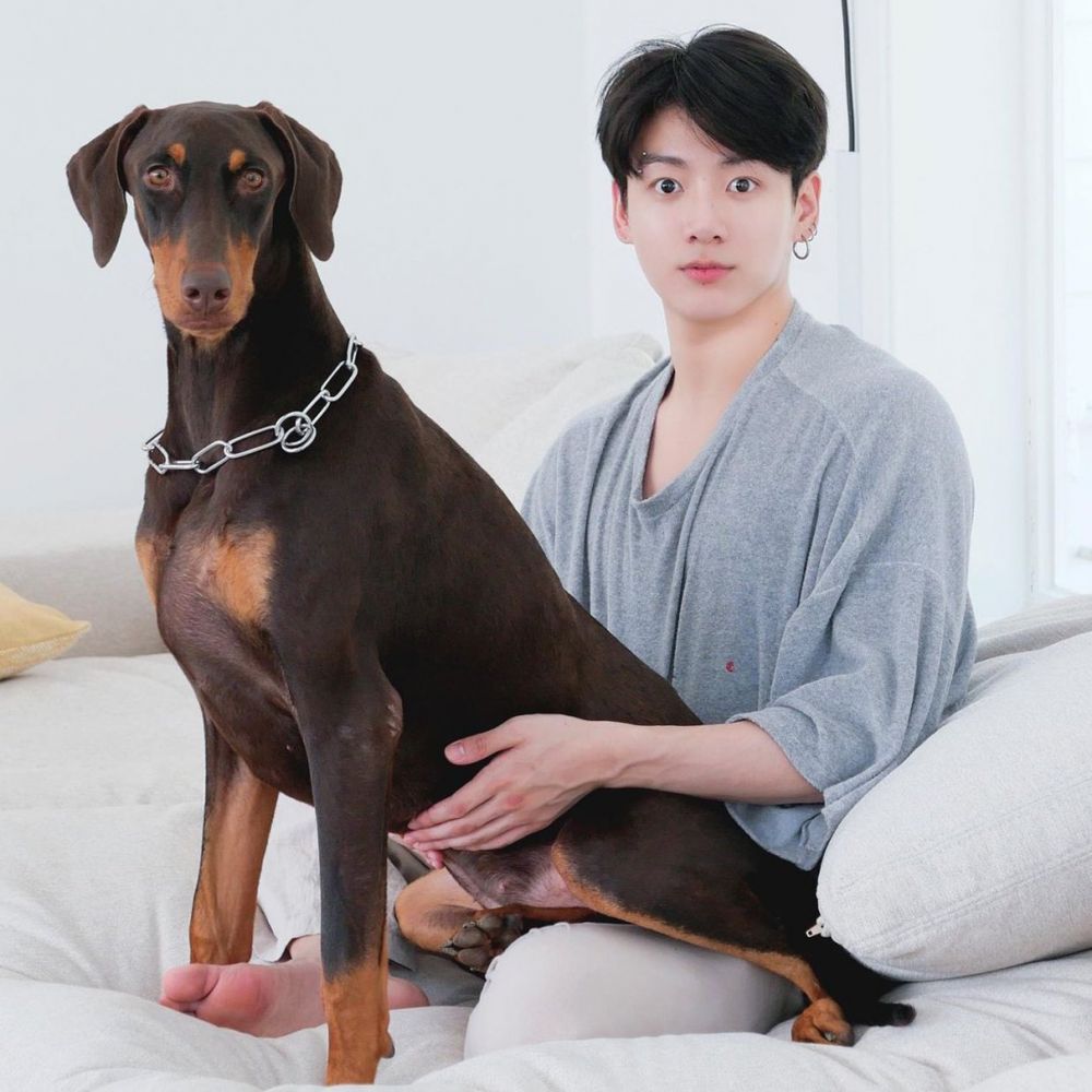 KPOP偶像毛孩爆紅！盤點7大KPOP偶像寵物帳號：柾國、Rosé愛犬追蹤破表，太妍＋ZERO實境秀萌翻粉絲！-3