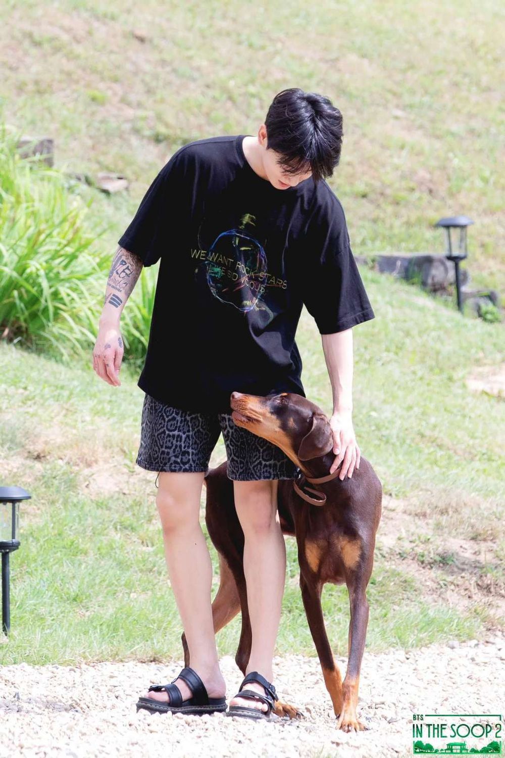 KPOP偶像毛孩爆紅！盤點7大KPOP偶像寵物帳號：柾國、Rosé愛犬追蹤破表，太妍＋ZERO實境秀萌翻粉絲！-2