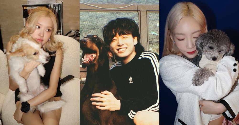 KPOP偶像毛孩爆紅！盤點7大KPOP偶像寵物帳號：柾國、Rosé愛犬追蹤破表，太妍＋ZERO實境秀萌翻粉絲！-1