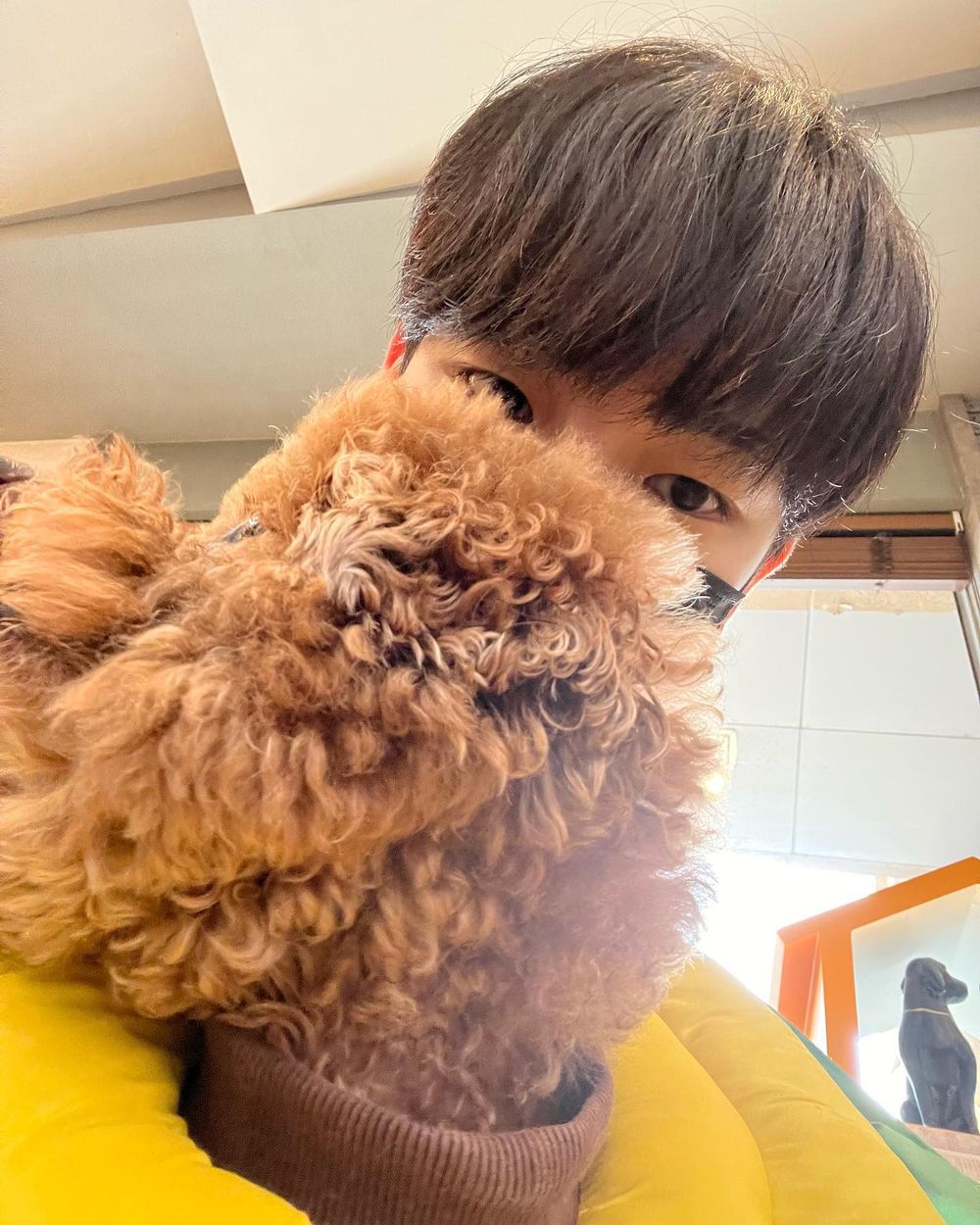 KPOP偶像毛孩爆紅！盤點7大KPOP偶像寵物帳號：柾國、Rosé愛犬追蹤破表，太妍＋ZERO實境秀萌翻粉絲！-7