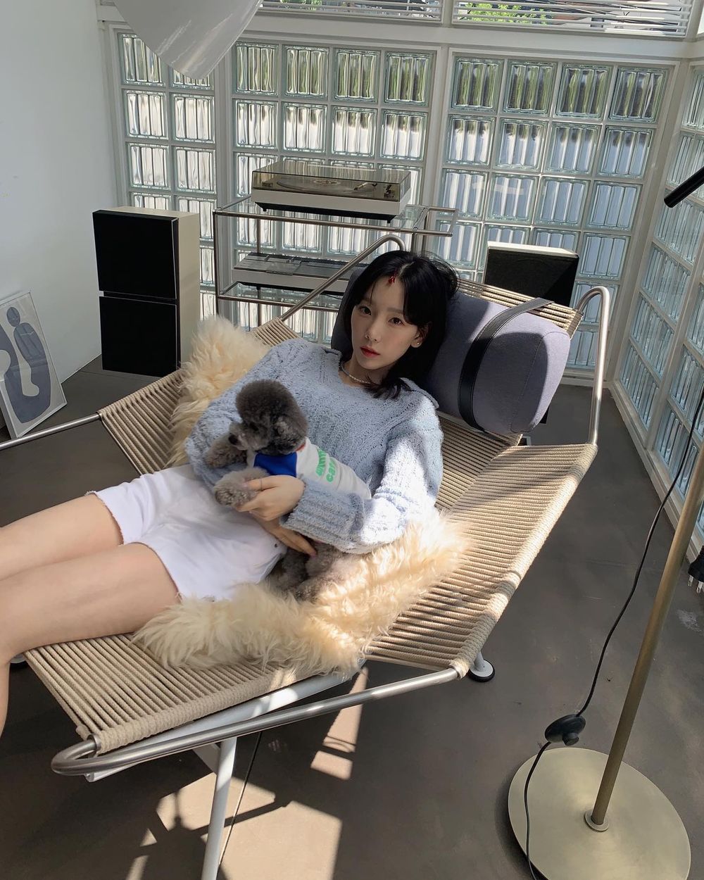 KPOP偶像毛孩爆紅！盤點7大KPOP偶像寵物帳號：柾國、Rosé愛犬追蹤破表，太妍＋ZERO實境秀萌翻粉絲！-9