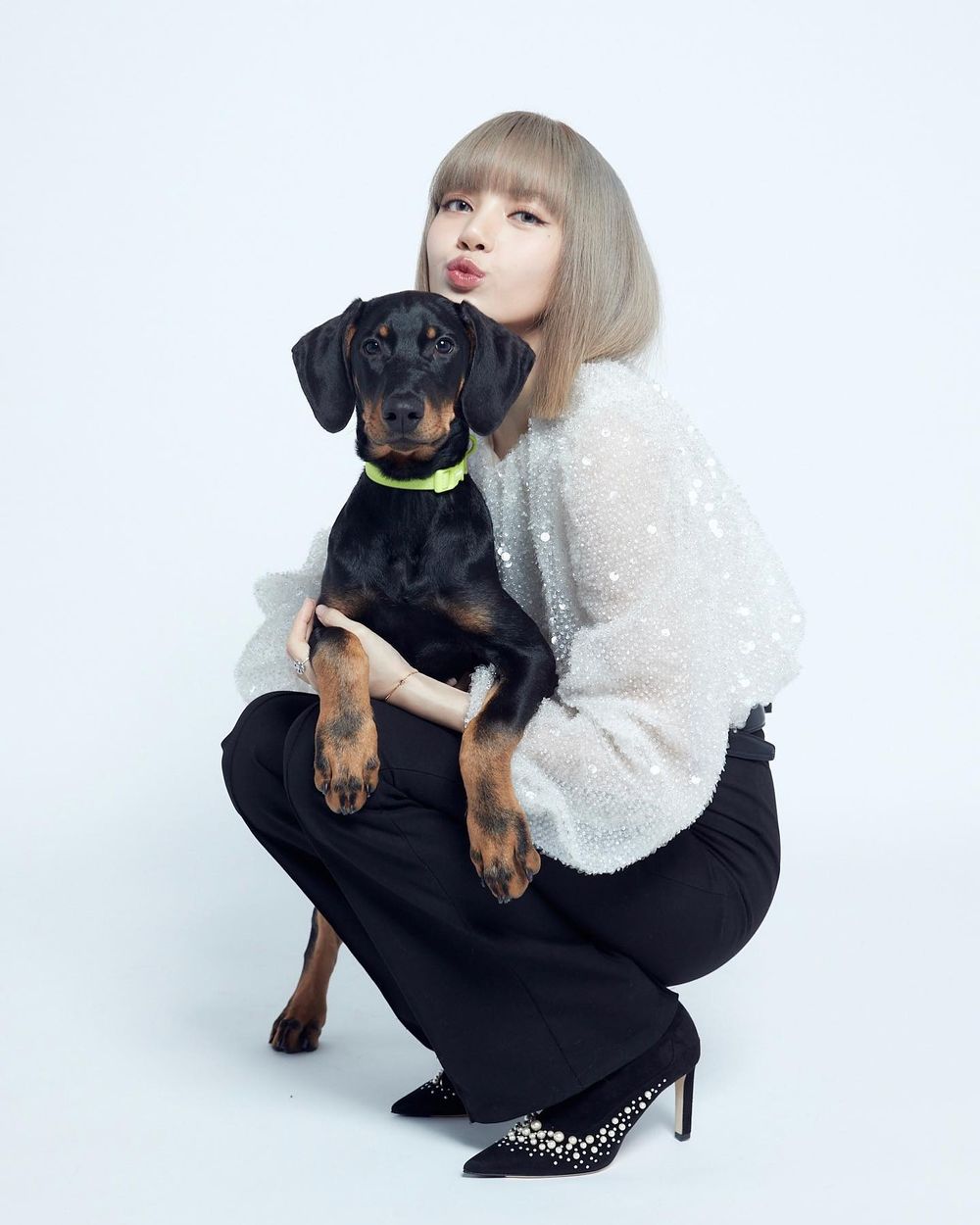 KPOP偶像毛孩爆紅！盤點7大KPOP偶像寵物帳號：柾國、Rosé愛犬追蹤破表，太妍＋ZERO實境秀萌翻粉絲！-14