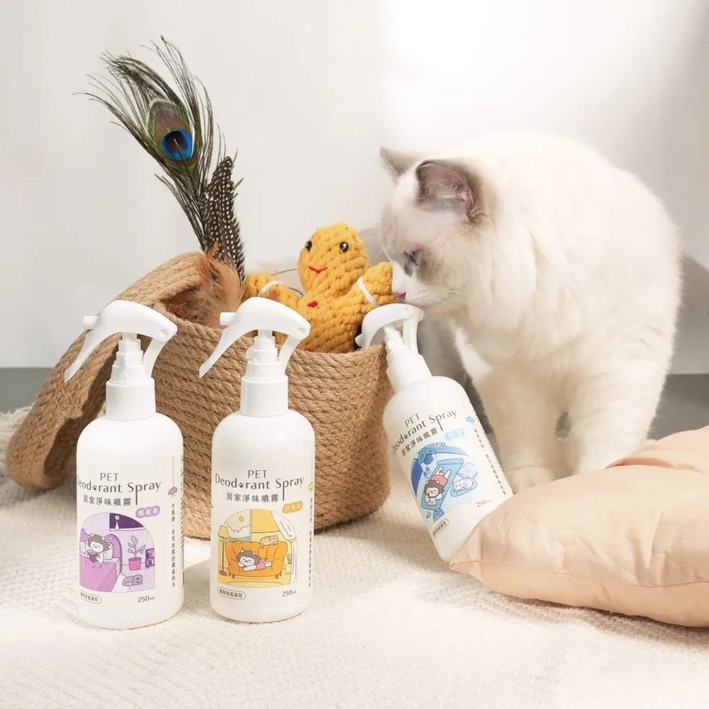 新手貓奴快看！「要做哪些健康檢查、買什麼保健品、貓砂怎麼挑」養貓前必知5大重點事項一次看！-7