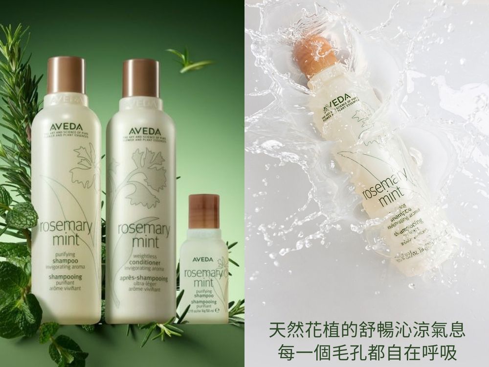2025夏天洗頭必備！網友激推10款「涼感洗髮精」juliart、SABON、艾瑪絲...，降溫控油＋療癒香氣一次到位！-5