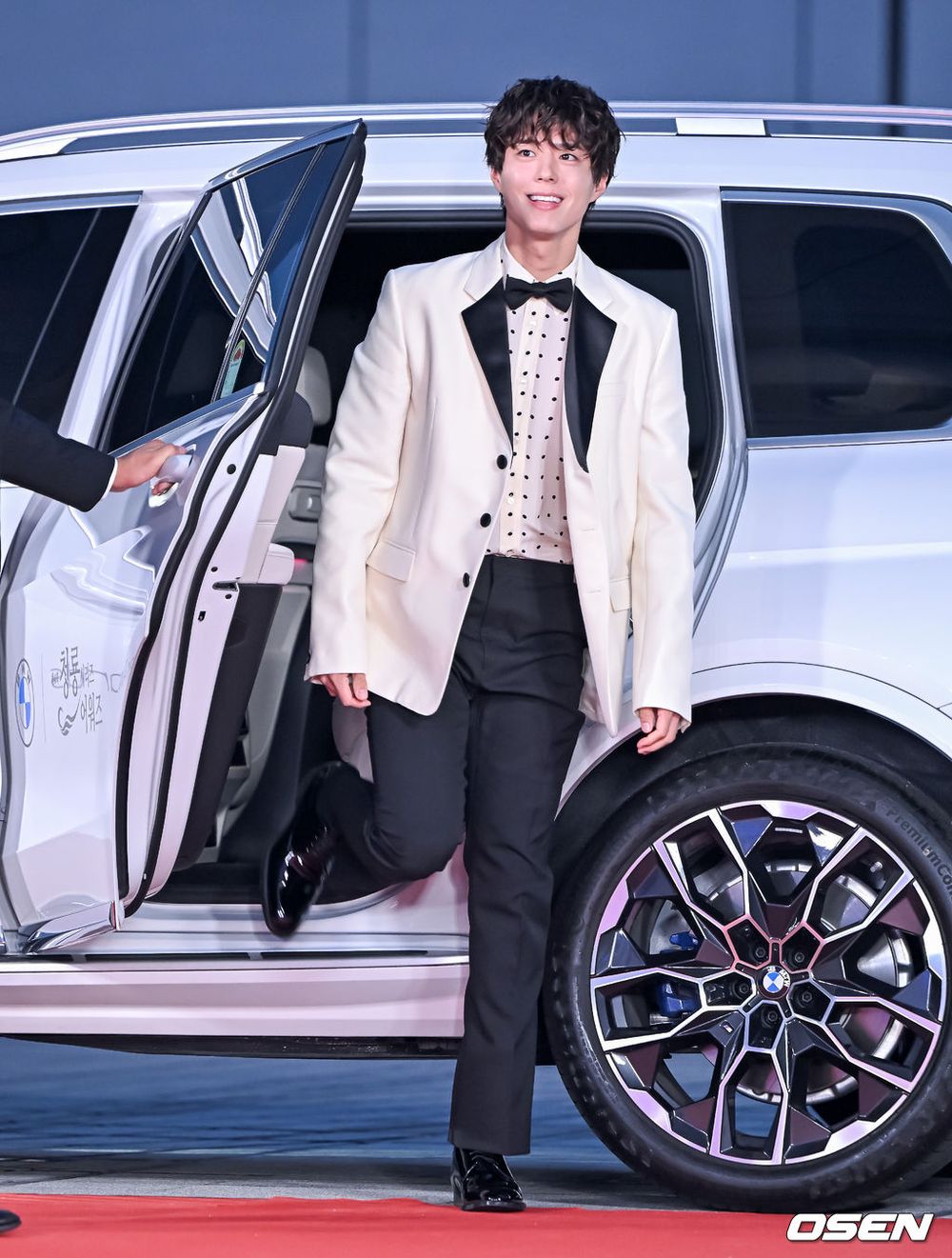 洗眼睛了！2025《青龍系列大獎》紅毯男神集合！朴寶劍、李濬榮雙王子降臨，狂比愛心可愛爆擊！-16