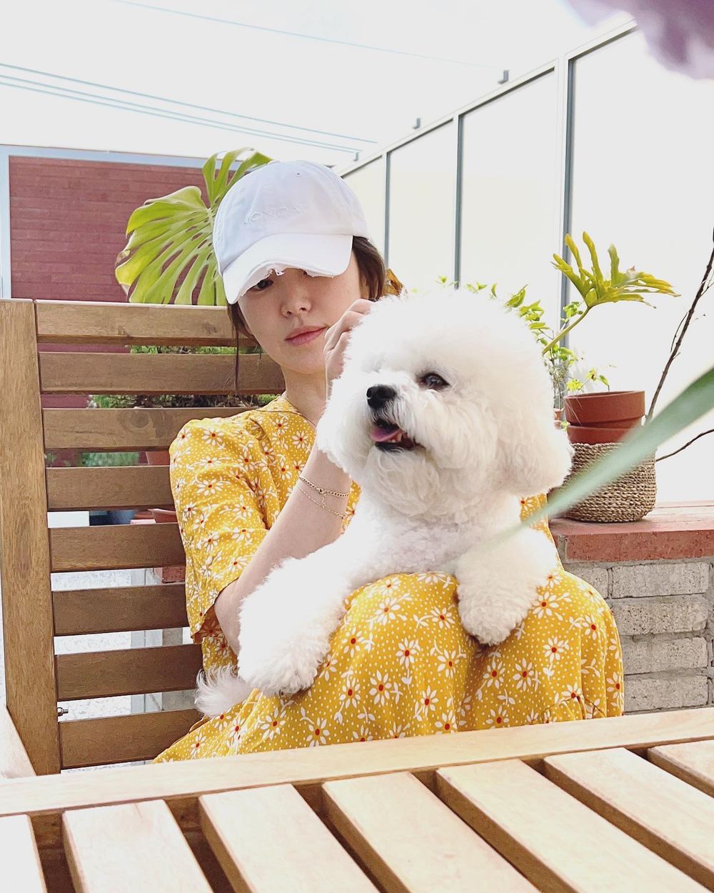 盤點7組超人氣韓劇演員VS寵物組合！朴敘俊愛犬「辛巴」太會搶鏡，俊昊、宋慧喬都是鏟屎官代表！-12