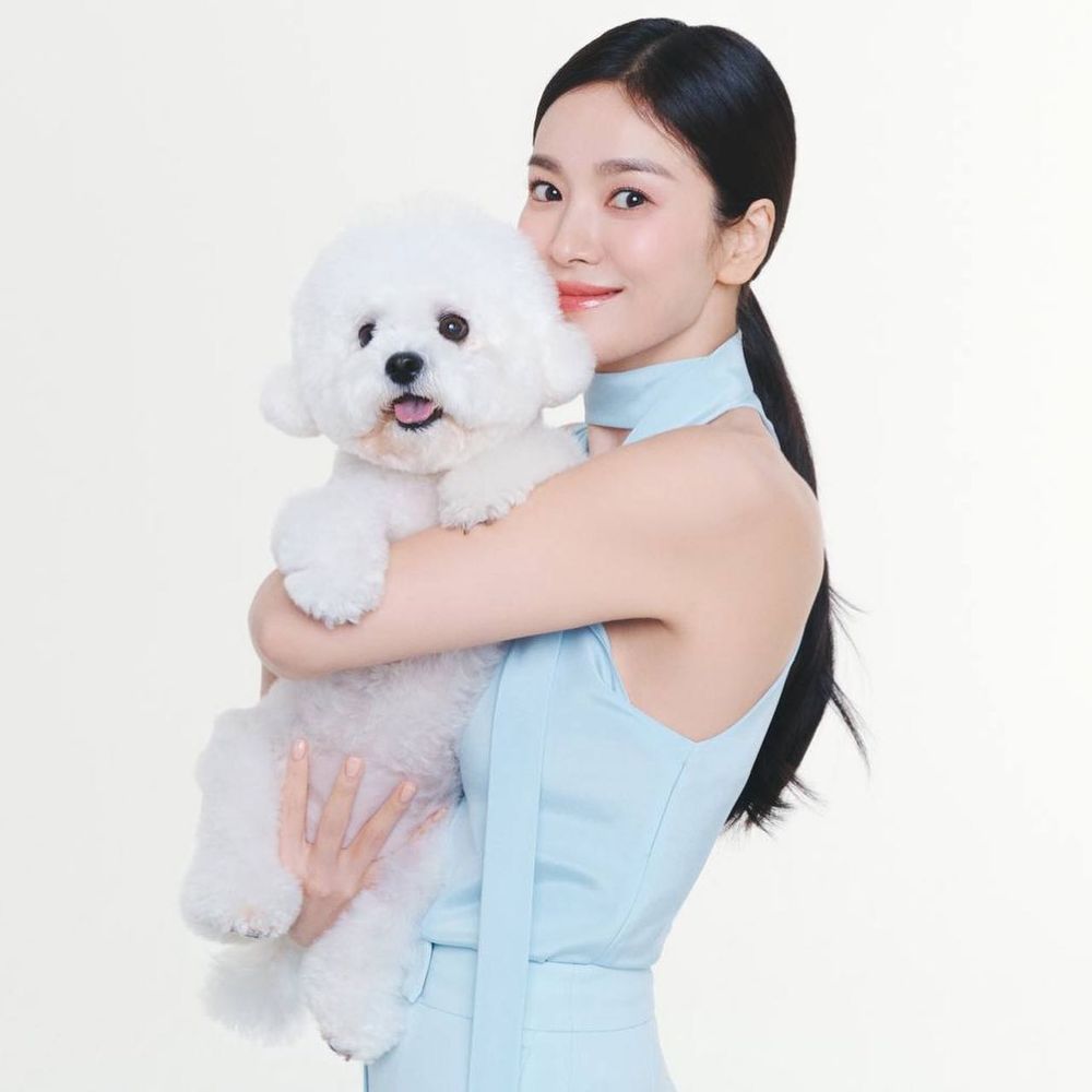 盤點7組超人氣韓劇演員VS寵物組合！朴敘俊愛犬「辛巴」太會搶鏡，俊昊、宋慧喬都是鏟屎官代表！-13