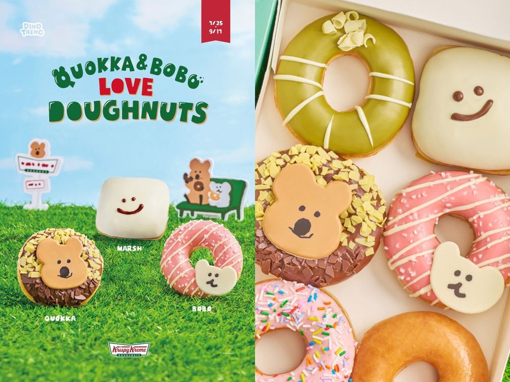 Krispy Kreme矮袋鼠甜甜圈可愛瘋！DINOTAENG聯名即將開賣！周邊吊飾、貼紙得一起帶走！-1