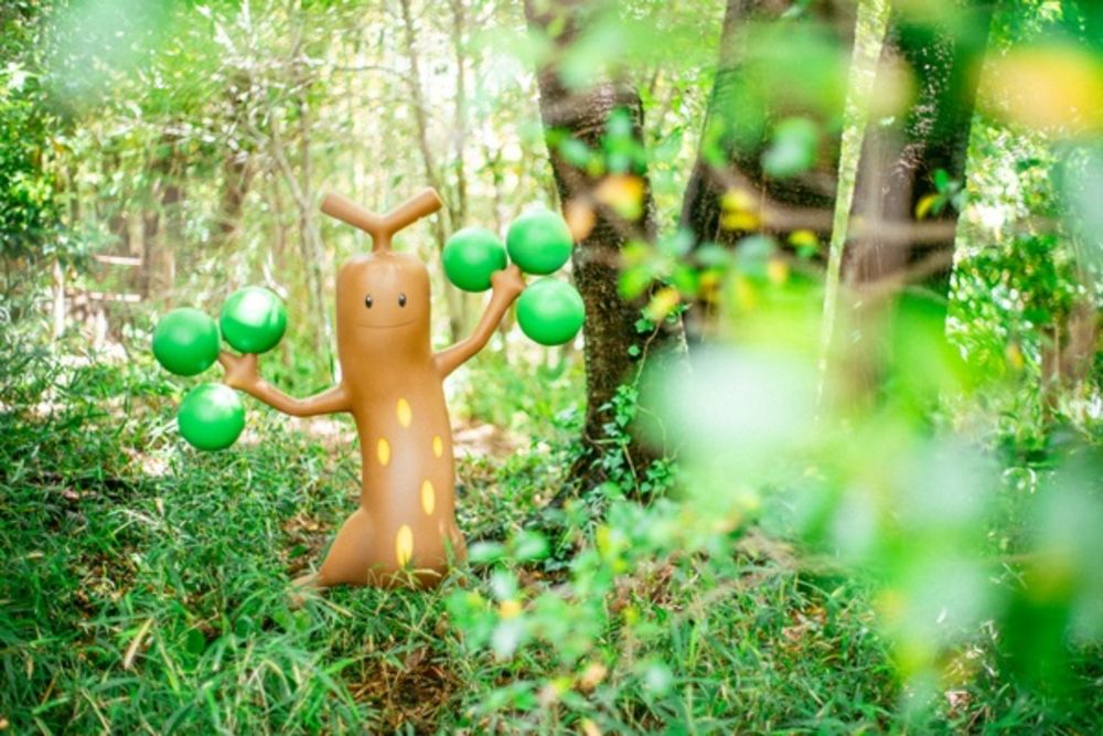 全球首座寶可夢主題樂園在東京！PokéPark KANTO「寶可夢森林」600隻寶可夢太好拍、這天開始售票！-4