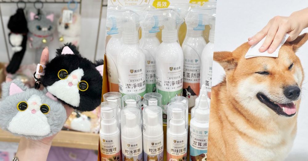 南港LaLaport台隆手創館超好逛！毛孩爸媽必買寵物專區好物推薦，「乾洗慕斯、貓狗濕巾、廢毛梳」居然有這麼多寶藏！-1