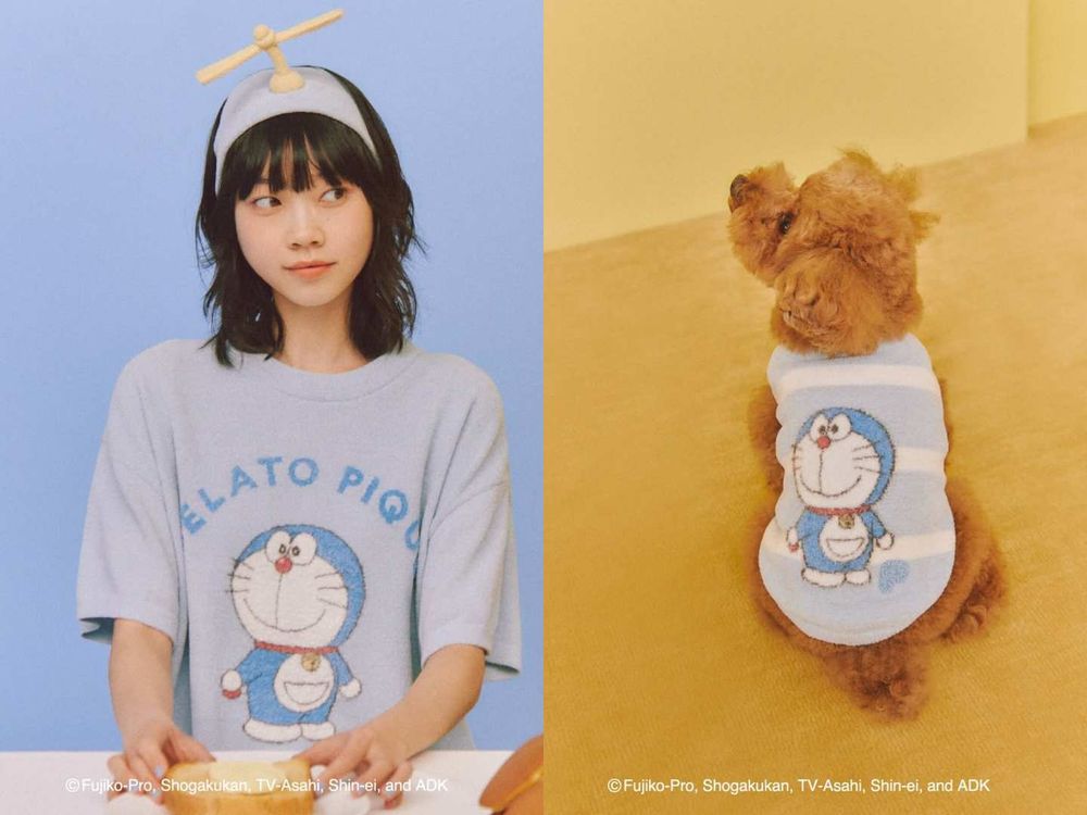 精選5間超時髦「寵物親子裝」品牌推薦！除了愛迪達，還有FILA、emis...韓國超難搶？！-10
