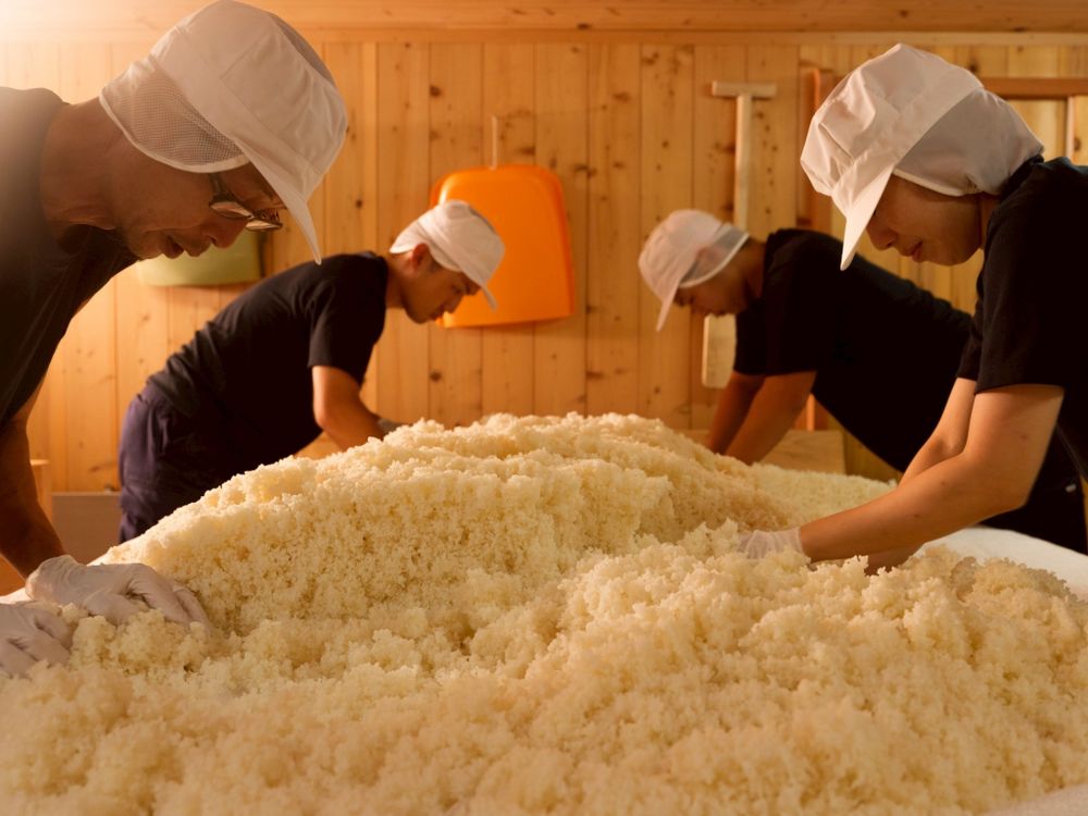 當米遇上茶！SAKEMARU推全新氣泡清酒PIZZICA，台灣高山茶香成日系酒迷必試亮點！-9