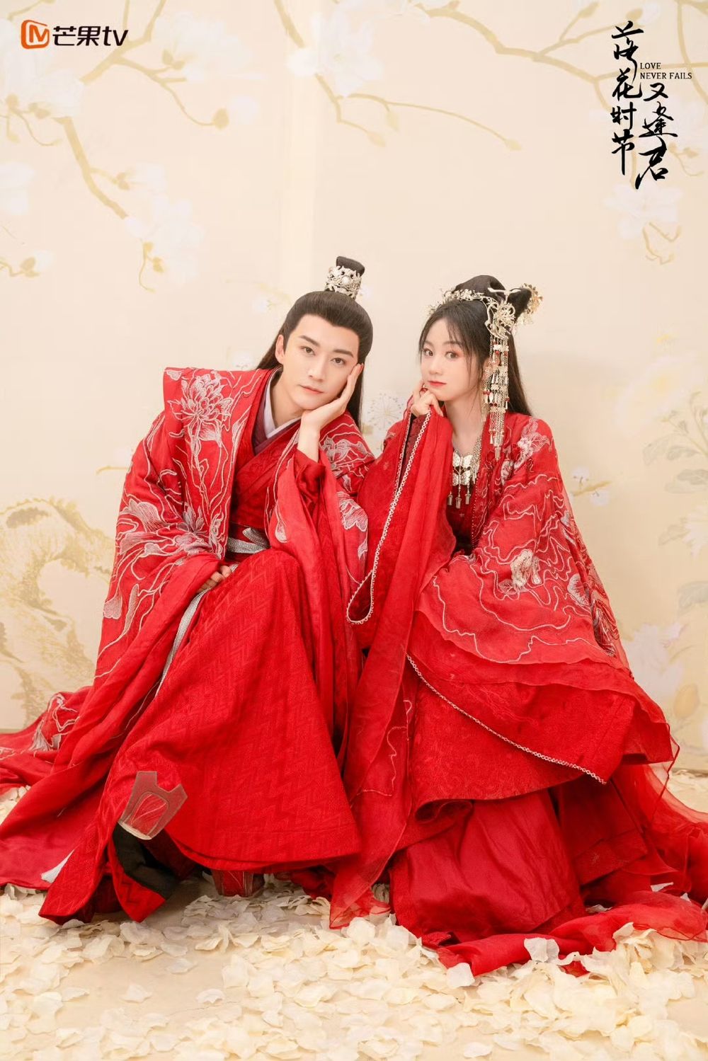 5月必追2025陸劇推薦！肖戰《藏海傳》復仇登場，宋祖兒＆劉宇寧《折腰》空降開播！-5