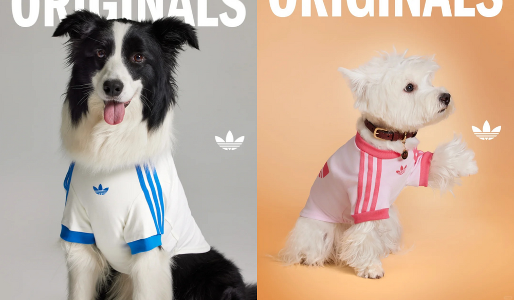 鏟屎官注意！adidas Originals推出「毛寶貝寵物系列」！三葉草親子裝可愛到爆！-3