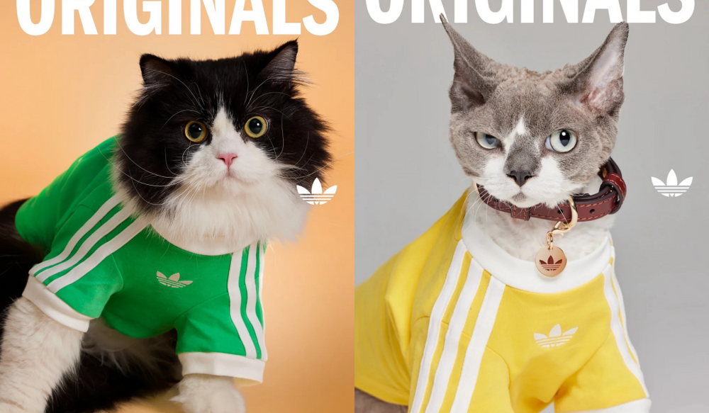 鏟屎官注意！adidas Originals推出「毛寶貝寵物系列」！三葉草親子裝可愛到爆！-4