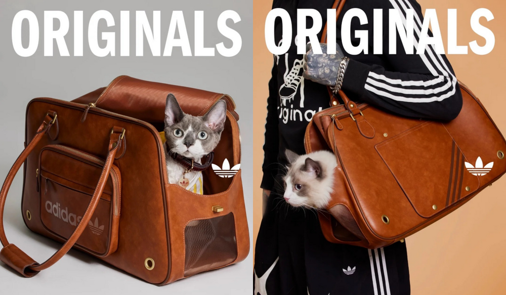 鏟屎官注意！adidas Originals推出「毛寶貝寵物系列」！三葉草親子裝可愛到爆！-5