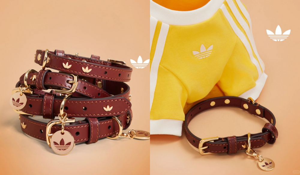 鏟屎官注意！adidas Originals推出「毛寶貝寵物系列」！三葉草親子裝可愛到爆！-6