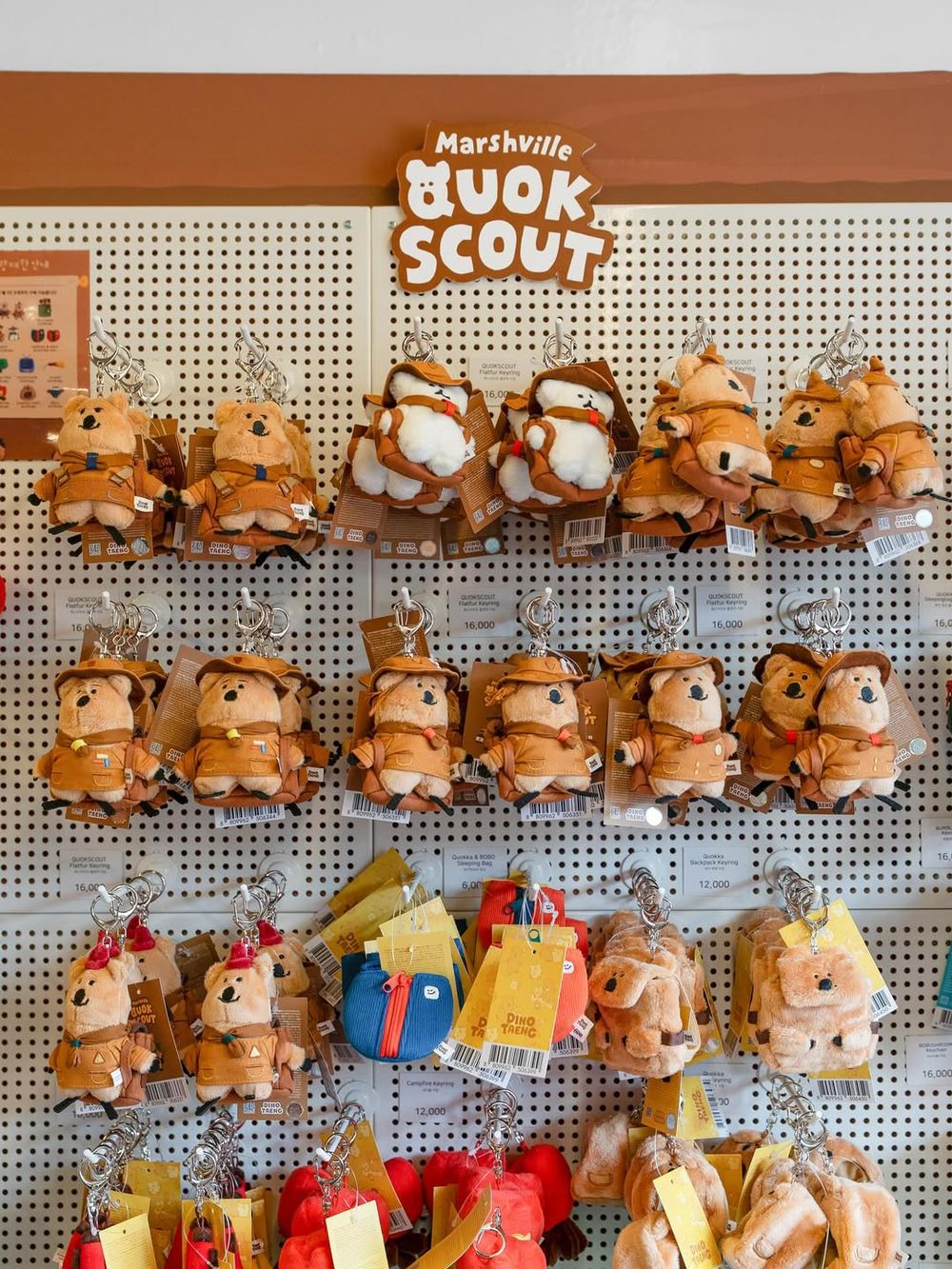 史上最萌！DINOTAENG矮袋鼠童軍系列「探險Quokka玩偶、BOBO刺繡布貼」只有這裡買得到！-10
