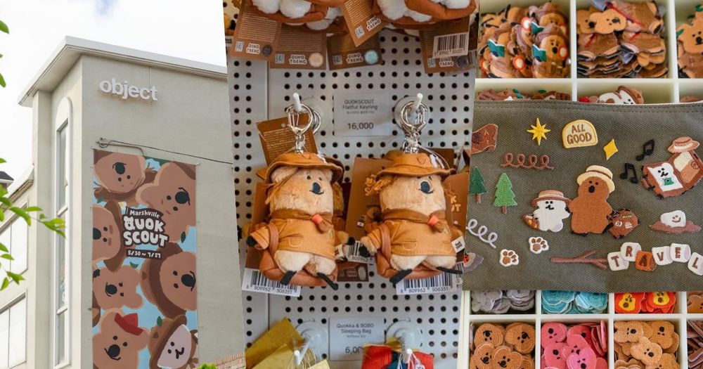 史上最萌！DINOTAENG矮袋鼠童軍系列「探險Quokka玩偶、BOBO刺繡布貼」只有這裡買得到！-16