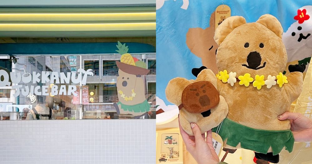 爭鮮跟DINOTAENG聯名了！萌炸「夏威夷風QUOKKA抱枕、絨毛零錢包」必買，還有限定店裝要拍！-1