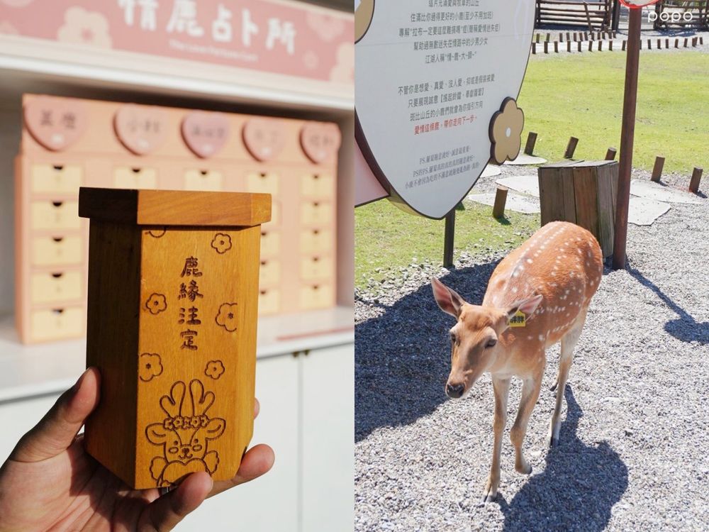斑比山丘2025夏季活動來了！超可愛水豚霜淇淋萌到捨不得吃、還能到「情鹿占卜所」測你的桃花運勢！-10