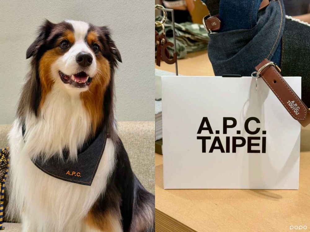 快帶毛孩去交朋友！A.P.C.將在信義舉辦限定寵物日！「免費冰淇淋、專屬插畫」只有當天有！-2