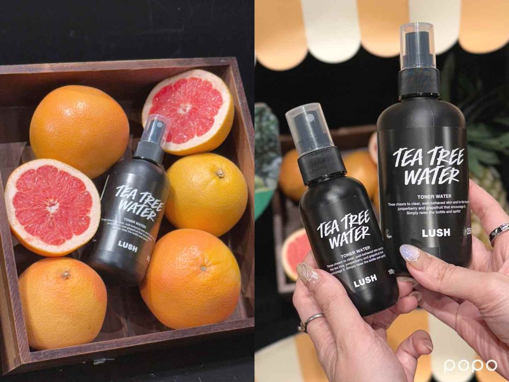 新鮮現做的保養品！LUSH支持天然防腐護膚，「鳳梨潔面霜、藍莓面膜、臉部磨砂膏」用過就回不去、上架秒被瘋搶！-6