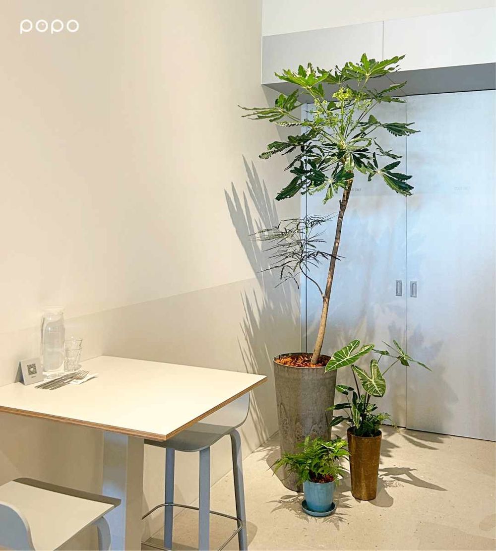 板橋最美早午餐來了！不然BRUN板橋店挑高空間美翻、「煎鮭魚蔬菜沙拉碗」必點菜單一次看！-3