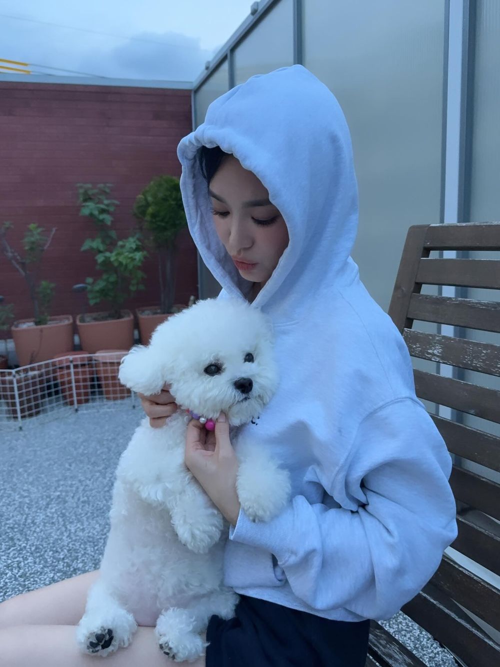 毛孩換季必知護理對策！四招溫和保養重點擊退皮膚乾癢＋濕疹，「這樣做」讓毛髮又柔又亮！-4