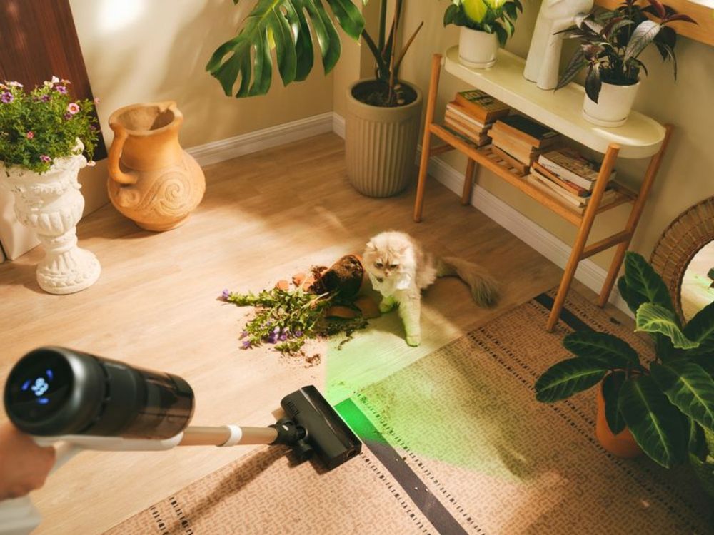 2025養寵物必買家電推薦！石頭科技「抗敏自動集塵吸塵器、掃拖機器人」再也不怕貓狗毛滿天飛！-1
