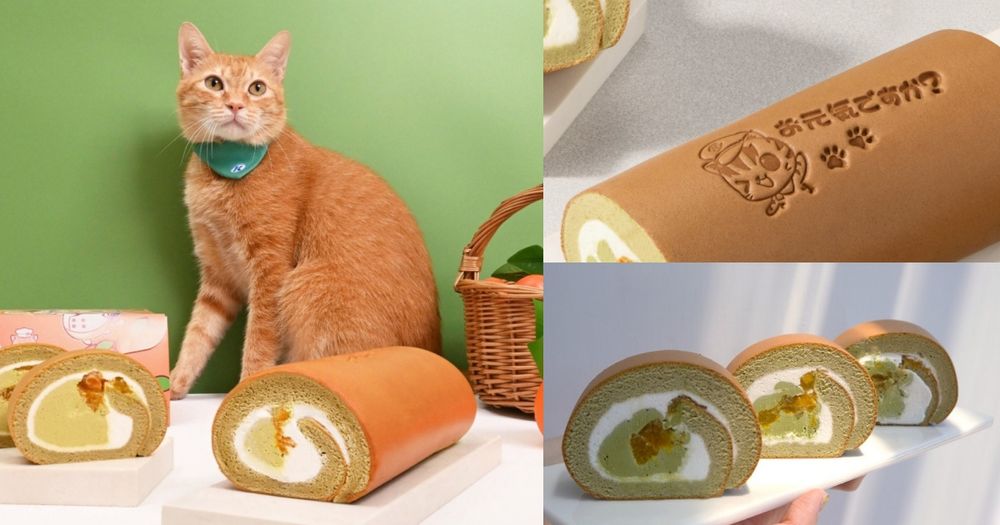 貓奴發瘋！亞尼克×高雄捷運「蜜柑站長」元氣蜜柑生乳捲開賣、還有Q翻小公仔&吊飾周邊要買！-14