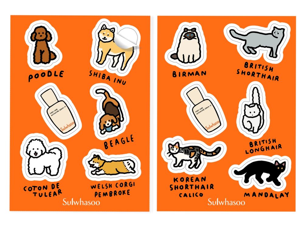 2025週年慶獨家！雪花秀攜手韓國ZERO PER ZERO，買潤燥精華就送萌寵插畫保溫杯、帆布袋，台灣限定、只送不賣！-9