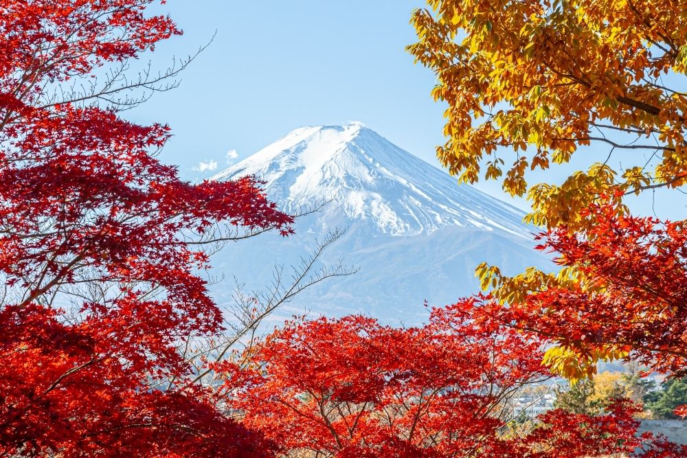 2025日本賞楓7大景點推薦！「新倉山淺間神社」富士山+紅葉美翻天、奈良公園邊玩鹿邊看楓葉太療癒！-5