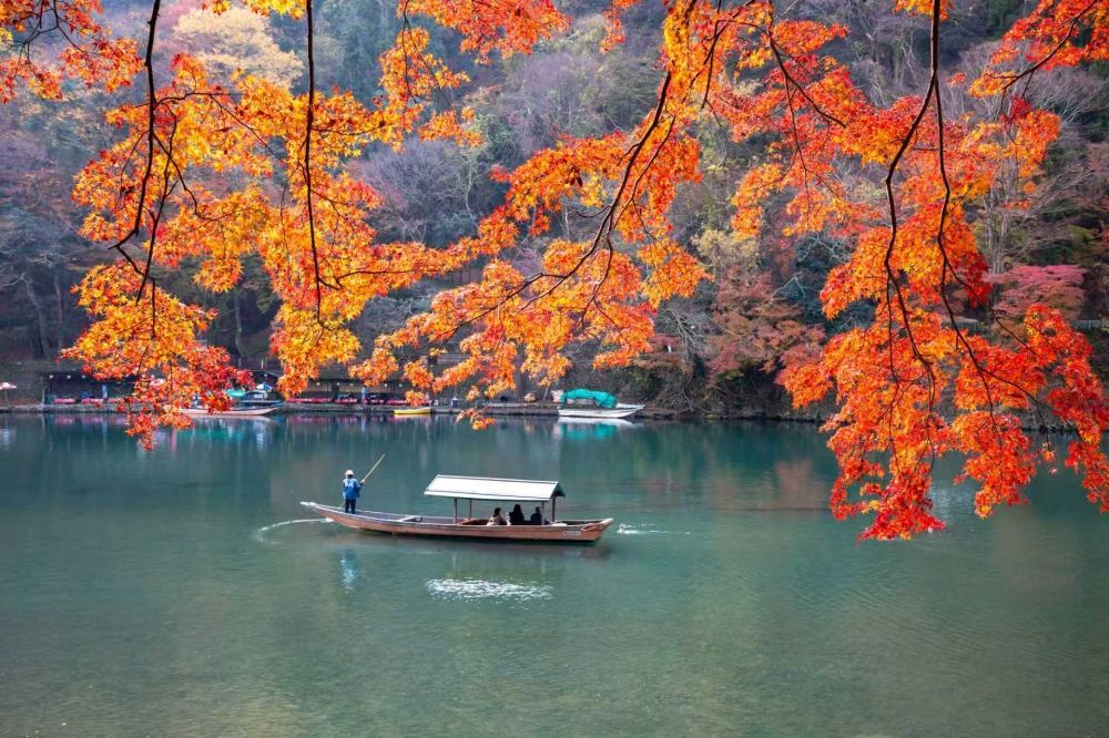 2025日本賞楓7大景點推薦！「新倉山淺間神社」富士山+紅葉美翻天、奈良公園邊玩鹿邊看楓葉太療癒！-9