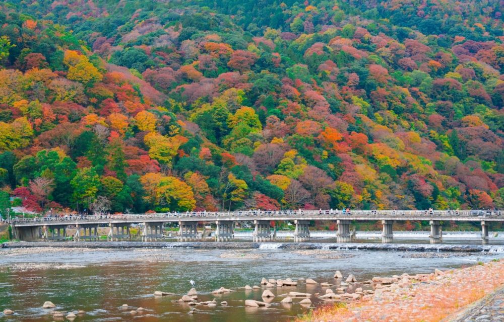2025日本賞楓7大景點推薦！「新倉山淺間神社」富士山+紅葉美翻天、奈良公園邊玩鹿邊看楓葉太療癒！-8