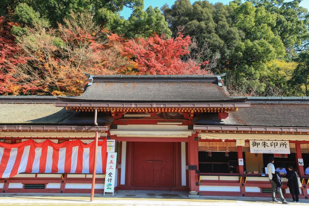 2025日本賞楓7大景點推薦！「新倉山淺間神社」富士山+紅葉美翻天、奈良公園邊玩鹿邊看楓葉太療癒！-12