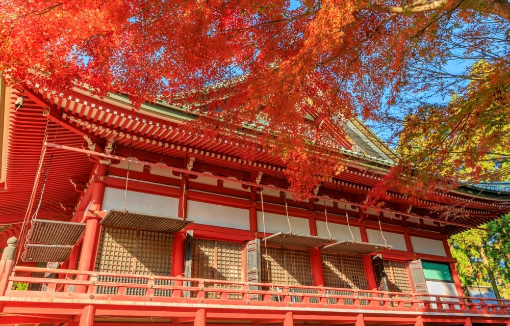 2025日本賞楓7大景點推薦！「新倉山淺間神社」富士山+紅葉美翻天、奈良公園邊玩鹿邊看楓葉太療癒！-14