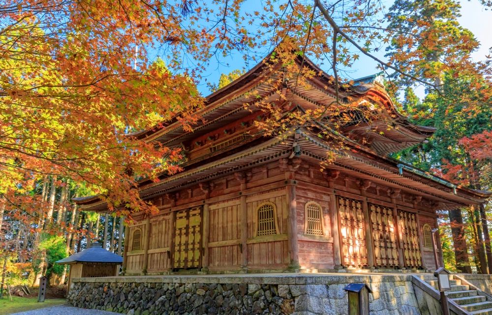 2025日本賞楓7大景點推薦！「新倉山淺間神社」富士山+紅葉美翻天、奈良公園邊玩鹿邊看楓葉太療癒！-15