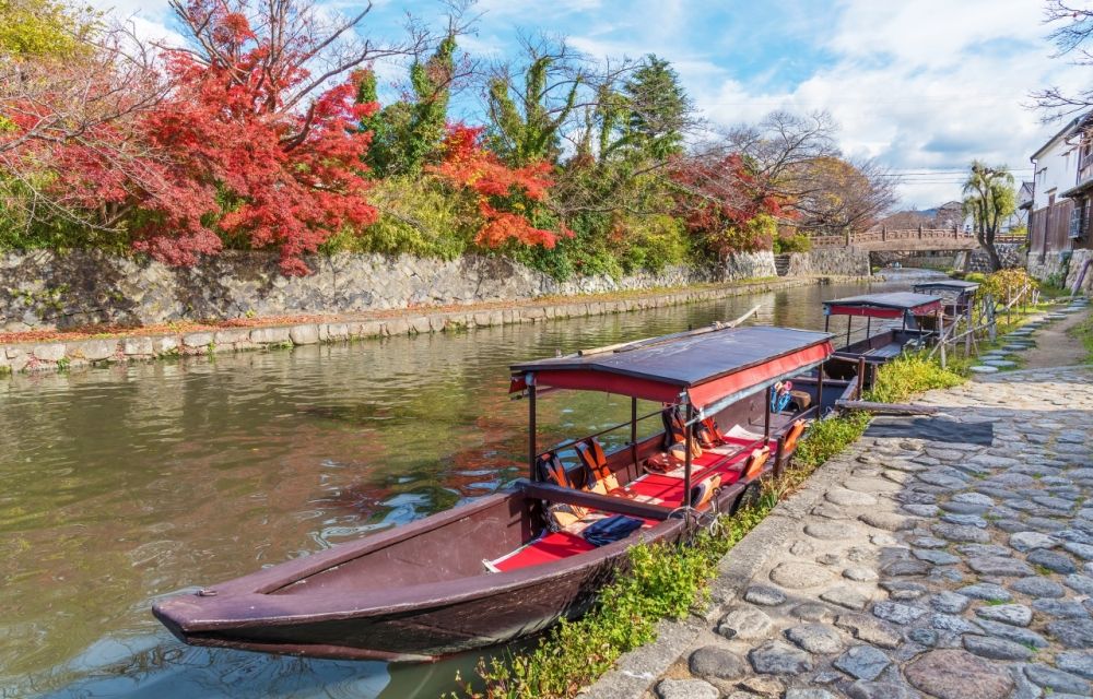 2025日本賞楓7大景點推薦！「新倉山淺間神社」富士山+紅葉美翻天、奈良公園邊玩鹿邊看楓葉太療癒！-16