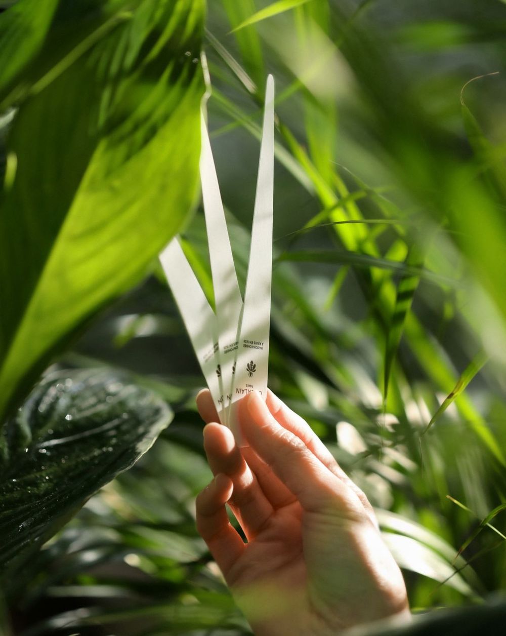 嬌蘭全球首間「藝術沙龍香氛色彩概念店」落座台灣！亞洲首個訂製服務精品箱、VIP限定香氛探索盒，史上最奢華香氛體驗就在這！-16