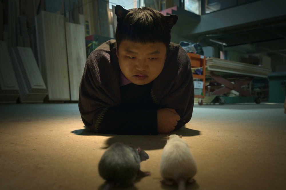 Netflix韓劇《許願吧，精靈》劇情看點角色線上看！秀智二搭金宇彬，《黑暗榮耀》編導團隊打造-13