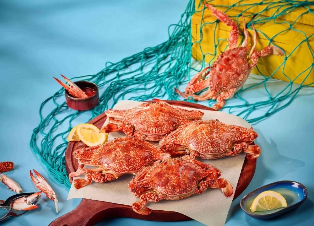 2025秋季必吃餐廳新菜懶人包！勝政「軟殼蟹+腰內豬排」太欠吃、欣葉日本東北季6道新料理登場！-19