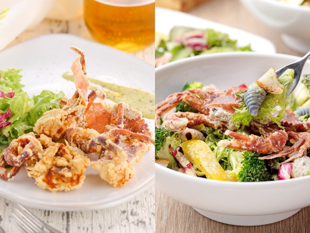 2025秋季必吃餐廳新菜懶人包！勝政「軟殼蟹+腰內豬排」太欠吃、欣葉日本東北季6道新料理登場！-23