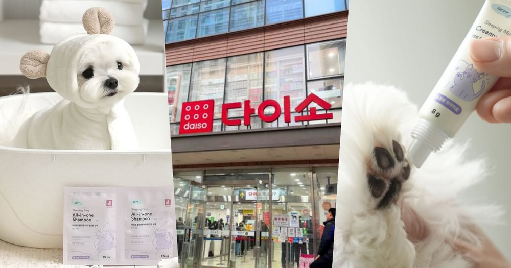 寵物爸媽必收！韓國大創寵物保養品全新上架，從肉墊保濕到旅行洗澡全套好物推薦、貓貓狗狗都適用！-1