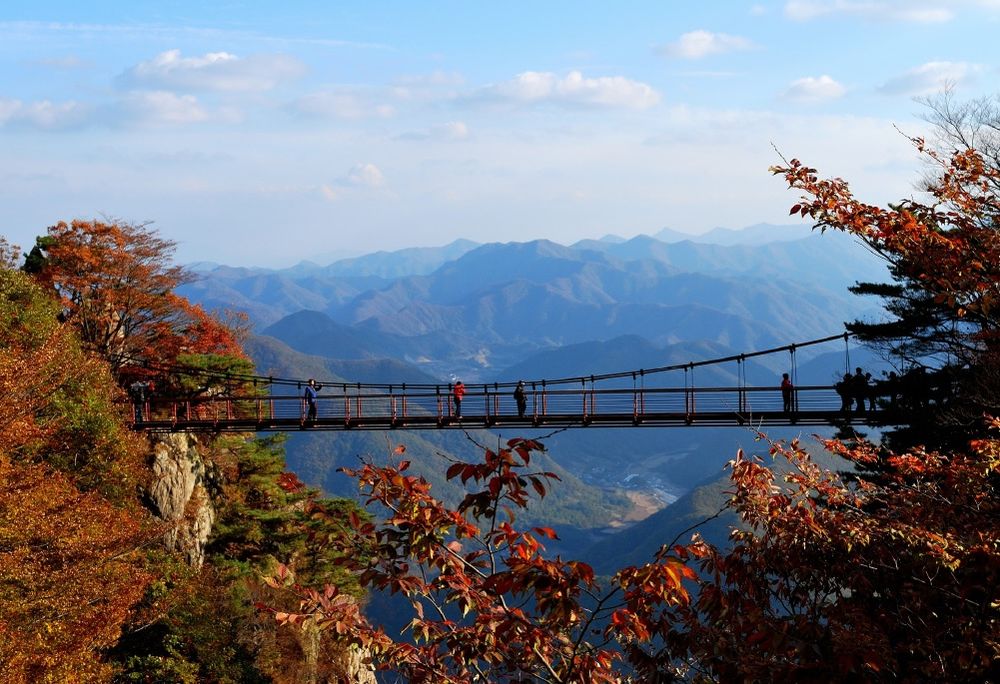 2025韓國賞楓6大景點推薦！慶州佛國寺楓紅景色美爆、「這裡」除了楓葉還有金黃落羽松太好拍！-5