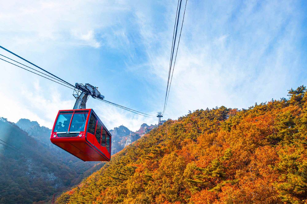 2025韓國賞楓6大景點推薦！慶州佛國寺楓紅景色美爆、「這裡」除了楓葉還有金黃落羽松太好拍！-4