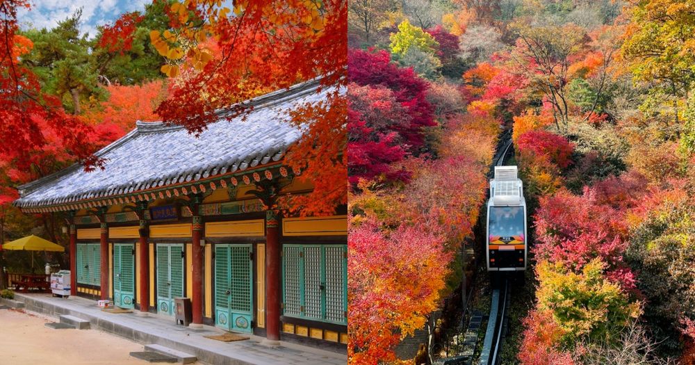 2025韓國賞楓6大景點推薦！慶州佛國寺楓紅景色美爆、「這裡」除了楓葉還有金黃落羽松太好拍！-1