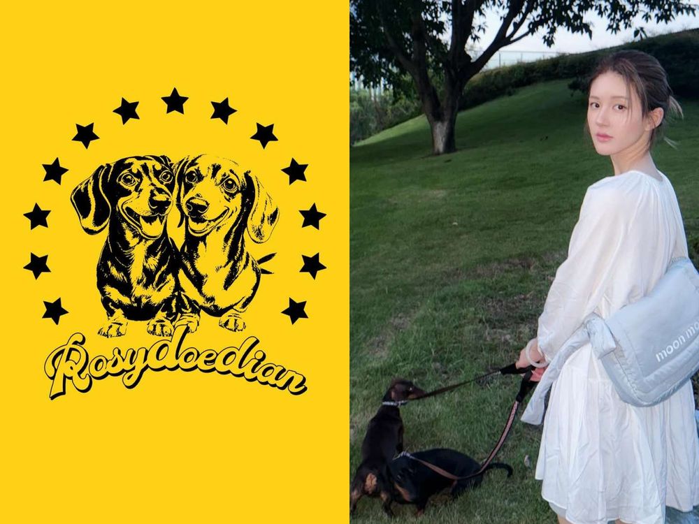 《許我耀眼》趙露思創個人品牌啦！ROSY DOEDIAN火速爆紅！愛犬還親自當模特？！-2