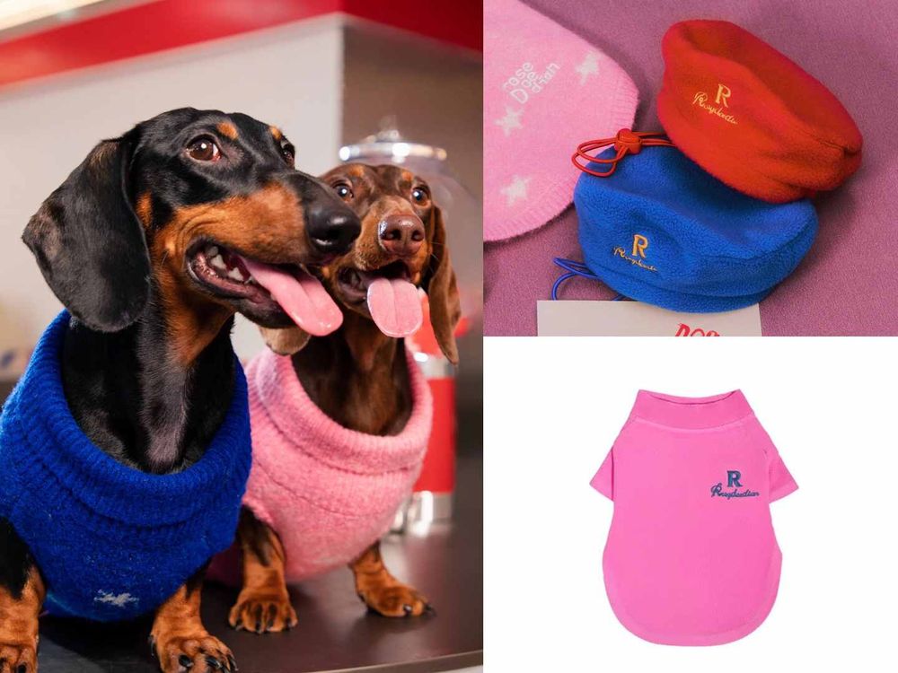 《許我耀眼》趙露思創個人品牌啦！ROSY DOEDIAN火速爆紅！愛犬還親自當模特？！-4