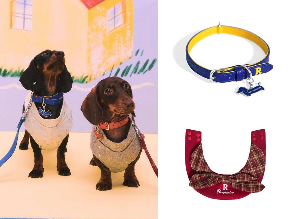 《許我耀眼》趙露思創個人品牌啦！ROSY DOEDIAN火速爆紅！愛犬還親自當模特？！-3